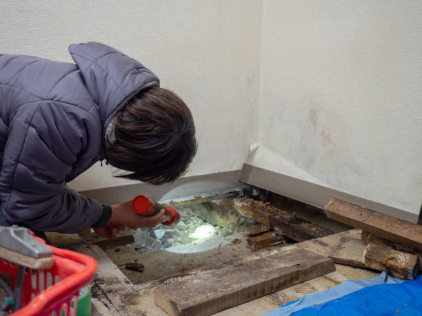 Best Post-Remediation Verification Testing  in Canfield, OH