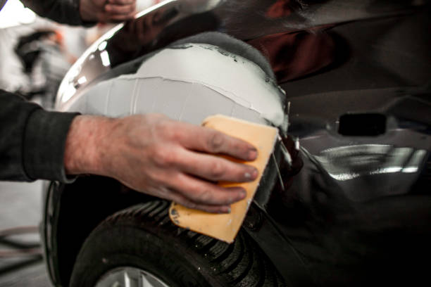Professional Mold Removal in Canfield, OH