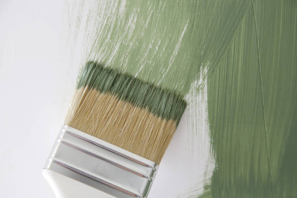 Best Mold Documentation for Insurance Claims  in Canfield, OH