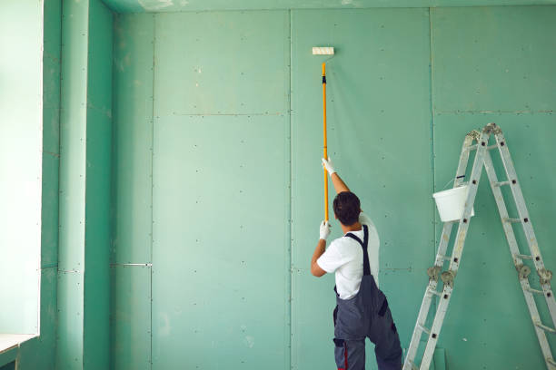 Best Post-Remediation Verification Testing  in Canfield, OH