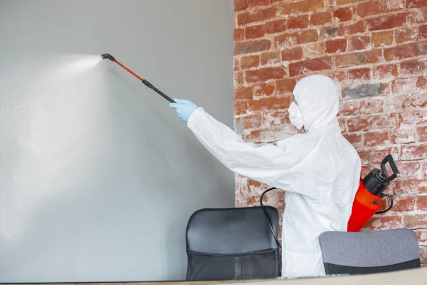 Best Post-Construction Mold Inspection  in Canfield, OH