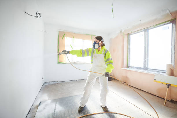 Best Water Damage & Mold Remediation  in Canfield, OH