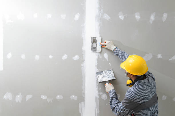 Best Commercial Mold Inspection  in Canfield, OH