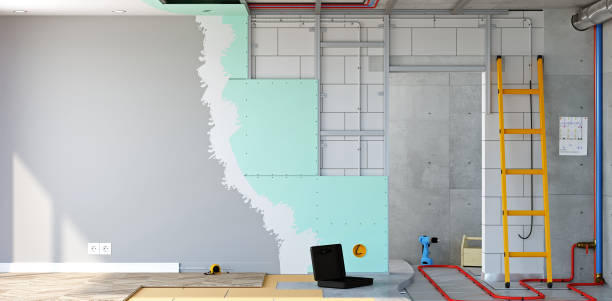 Best Biohazard Mold Removal  in Canfield, OH