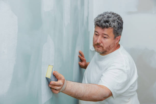 Best Attic Mold Removal  in Canfield, OH