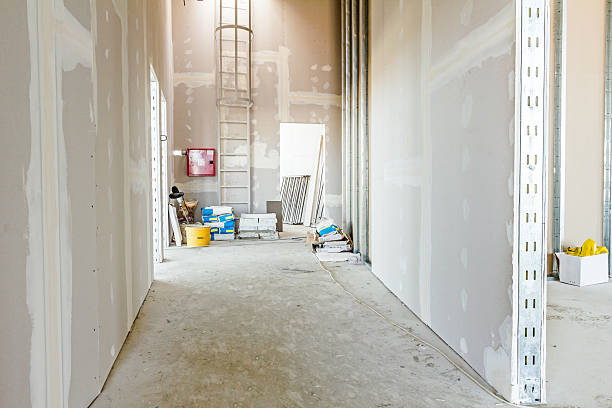 Best Airborne Mold Testing  in Canfield, OH
